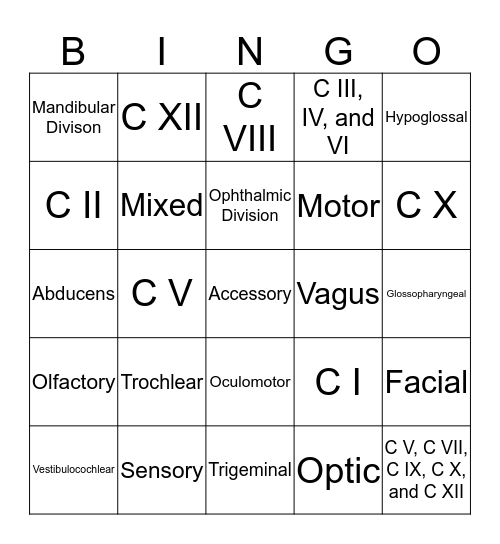 Cranial Nerves BINGO! Bingo Card