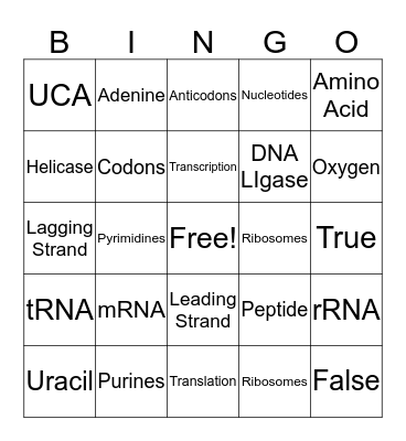 Biology Project Bingo Card
