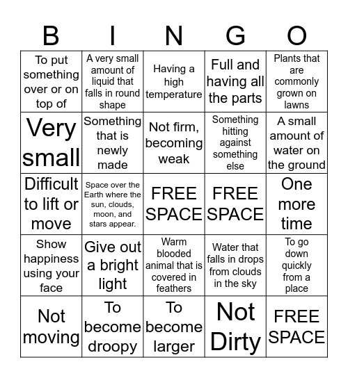 Rain Vocabulary Bingo Card