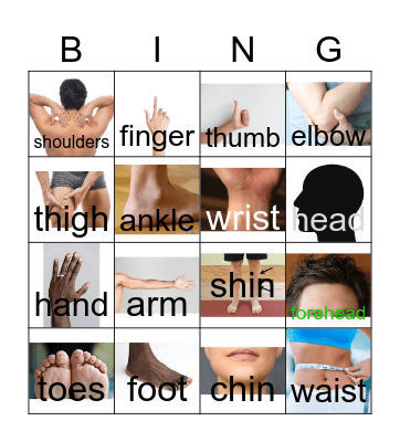 ESL Human Body Bingo Card