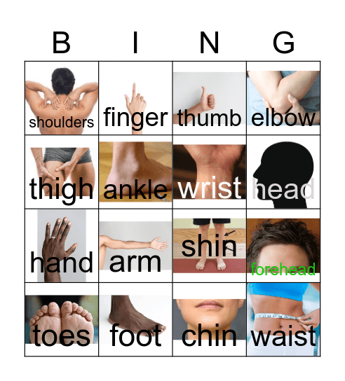 ESL Human Body Bingo Card