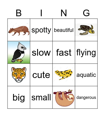 Endangered Animas Bingo Card