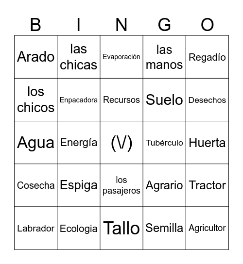 Los sustantivos Bingo Card