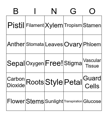 Plant Bingo Card