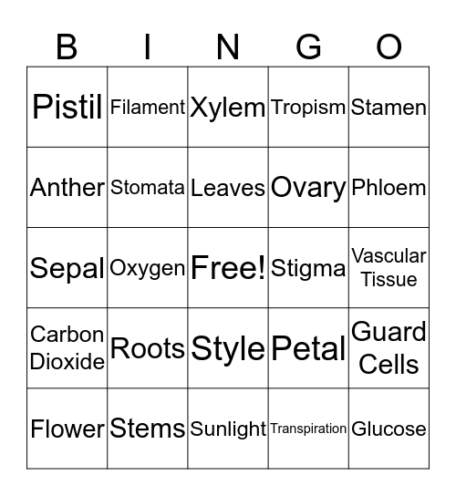 Plant Bingo Card