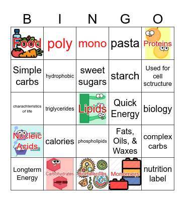 Biomolecule BINGO Card