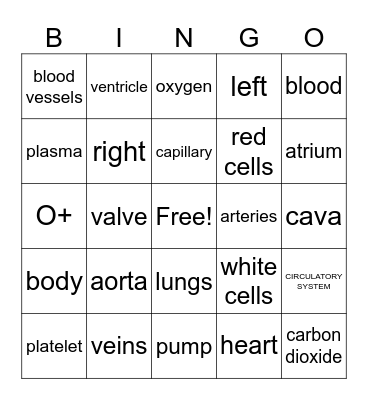 Circulatory System Bingo Card