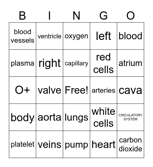 Circulatory System Bingo Card