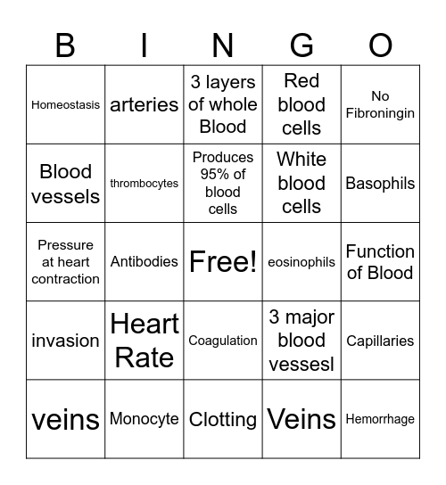 Blood Functions Bingo Card