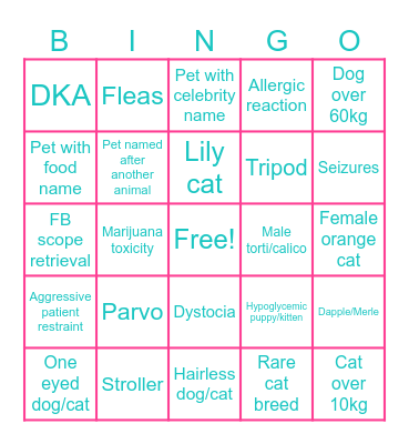 Vet Tech Week Bingo! Bingo Card