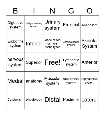 ANATOMY BINGO Card