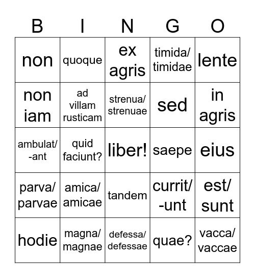 mrhs Latin: vinco, ecce Ch. 2 Bingo Card