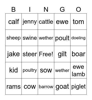 Animal Terminology Bingo Card