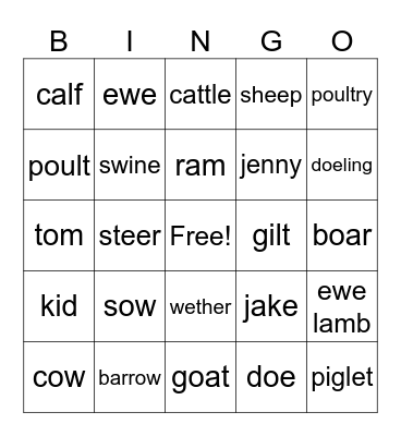 Animal Terminology Bingo Card