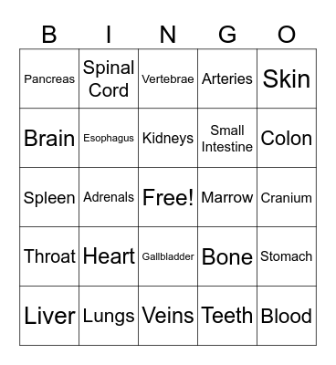 Anatomy #1 Bingo Card