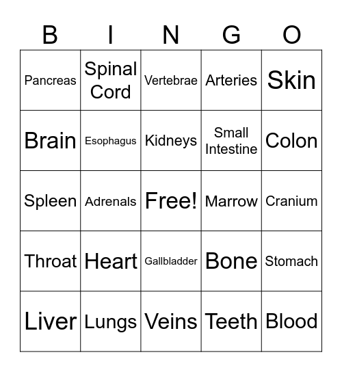 Anatomy #1 Bingo Card