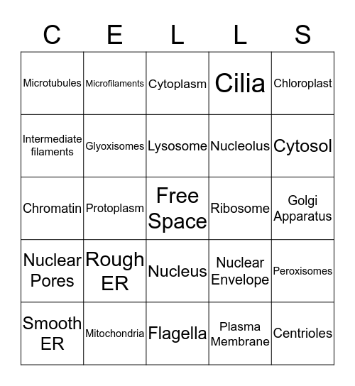 All about the cell Bingo Card
