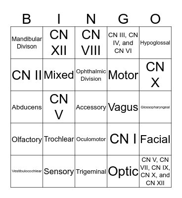 Cranial Nerves BINGO! Bingo Card