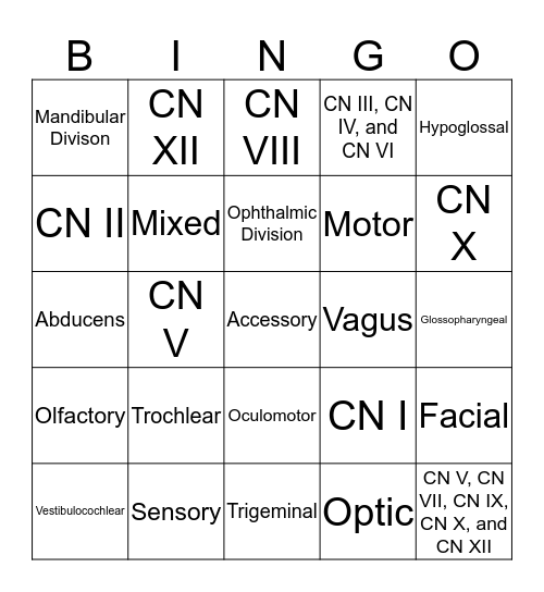Cranial Nerves BINGO! Bingo Card