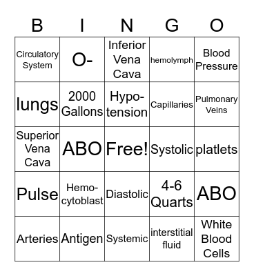 Circulatory System Bingo Card