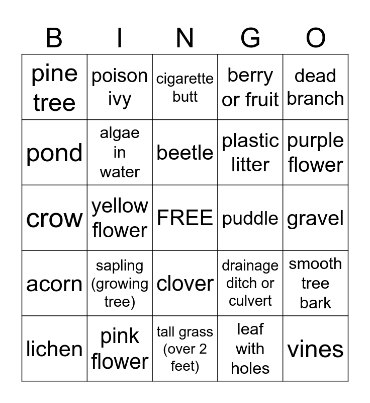 Art and Ecology: Observation Bingo! Bingo Card