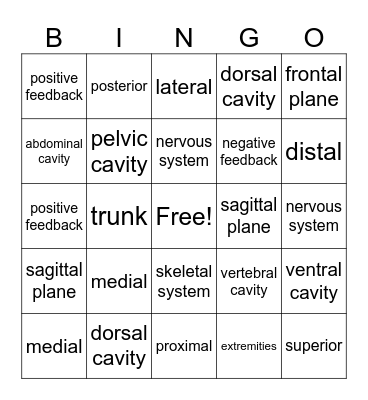 Anatomy Unit 1 Bingo Card