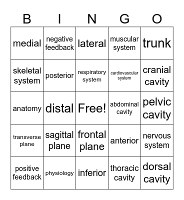 Anatomy Chapter 1 Bingo Card