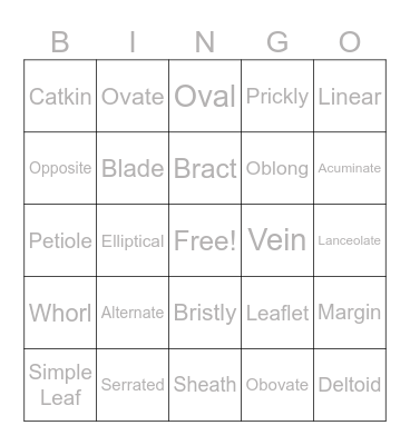 Leaf Types and Shapes Bingo Card