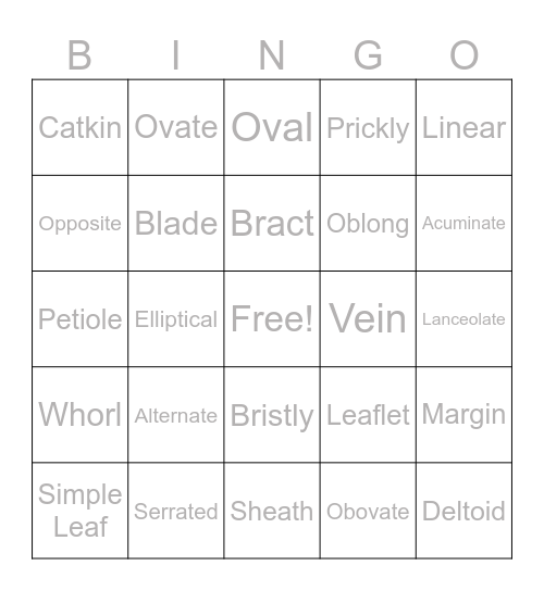 Leaf Types and Shapes Bingo Card
