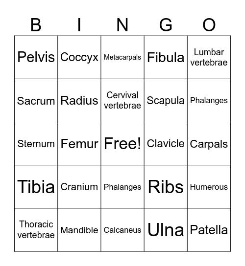 Sports med body Bingo Card