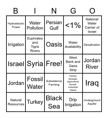 SWA Environmental Issues Bingo Card