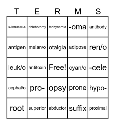 Medical Terminology Bingo Card