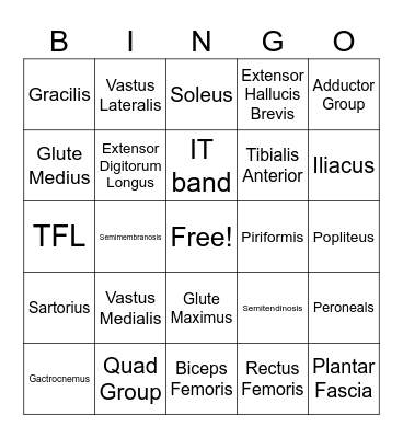 Lower Body Muscle Bingo Card