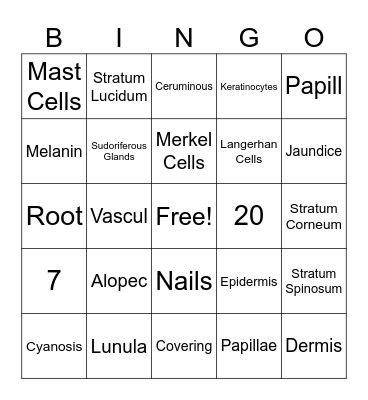 Integumentary System Bingo Card