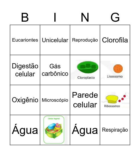 Bingo Celular Bingo Card