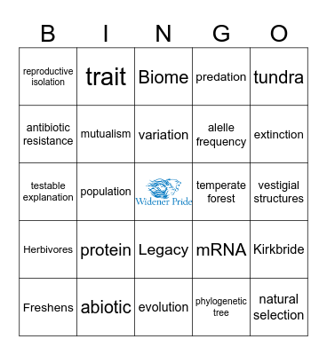 First Class Bingo Card