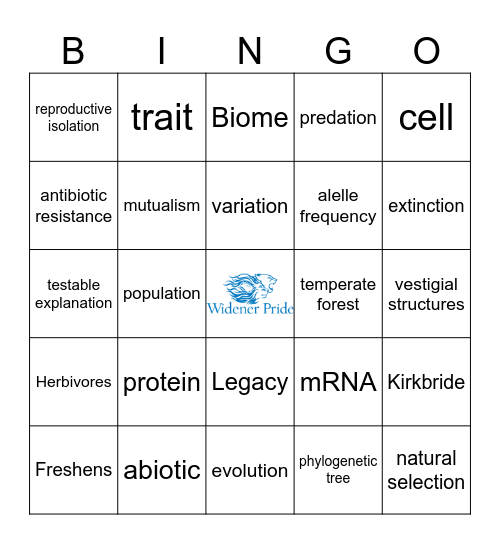 First Class Bingo Card