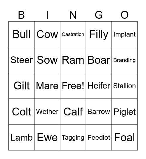 Ag Bingo Card