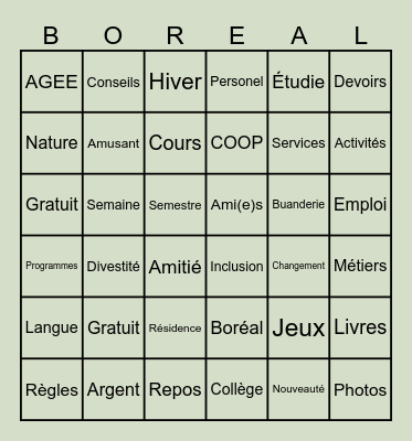 Bingo Boreal Bingo Card