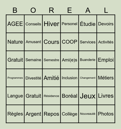 Bingo Boreal Bingo Card