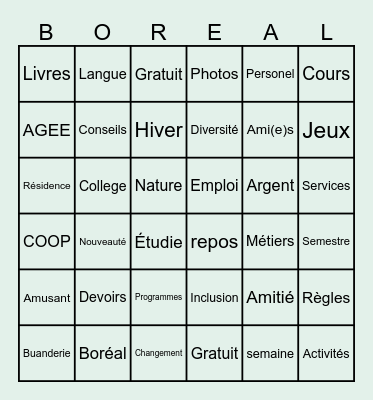 Bingo Boreal Bingo Card