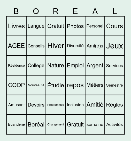 Bingo Boreal Bingo Card