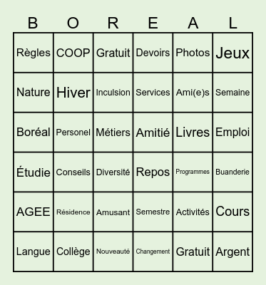 Bingo Boreal Bingo Card