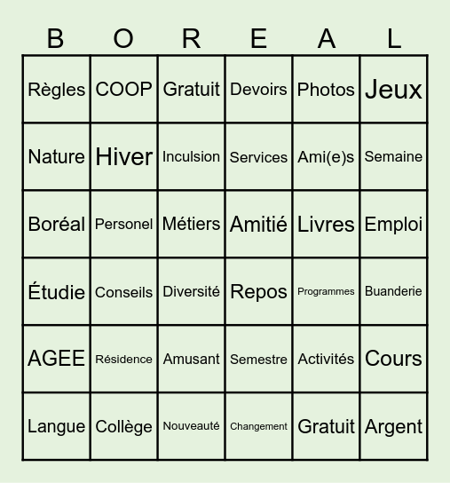 Bingo Boreal Bingo Card