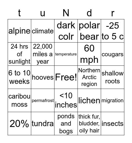 tundra Bingo Card