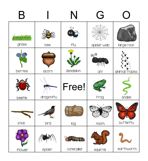 Nature Bingo Card