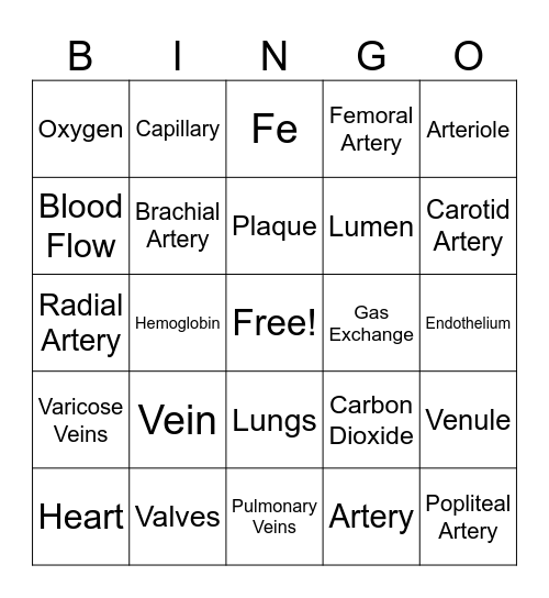 Blood Vessel Bingo!! Bingo Card