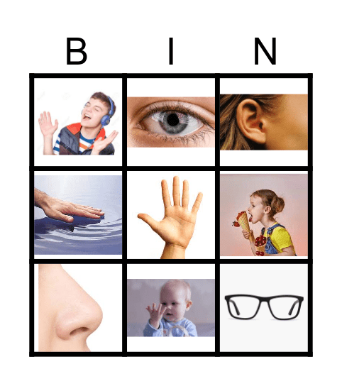 zintuigen Bingo Card