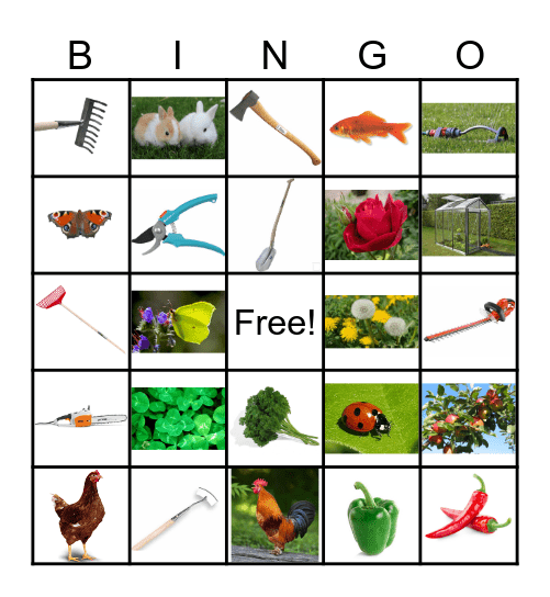 Natuur Bingo Card