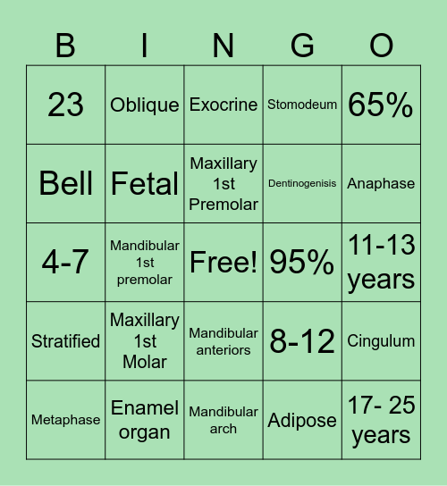 DENTAL ANATOMY AND EMBRYO Bingo Card